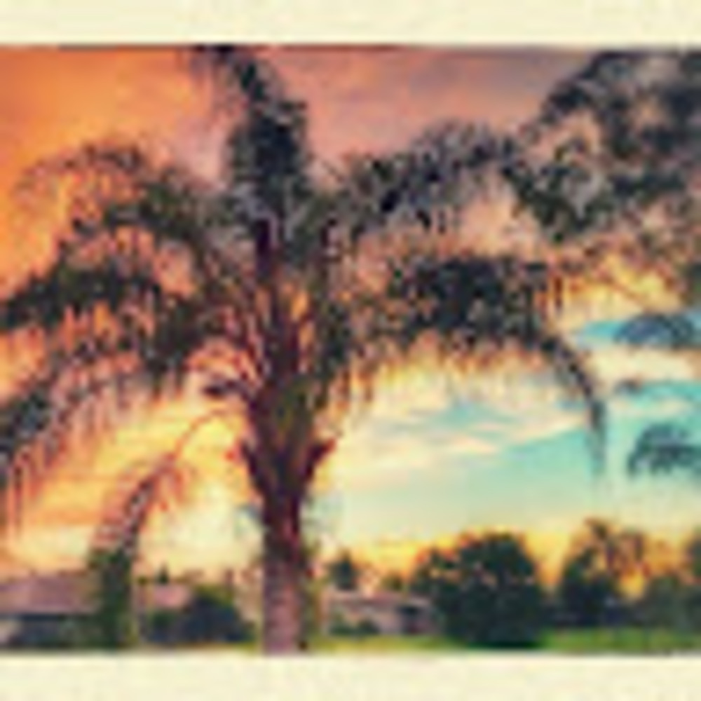 Meet your Posher, Cathy